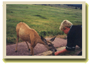 Jesse feeds the local wildlife in Oregon