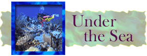 Under the Sea