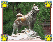 Balto